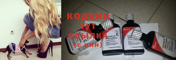 мдпв Бронницы