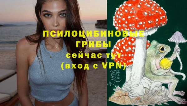 мдпв Бронницы